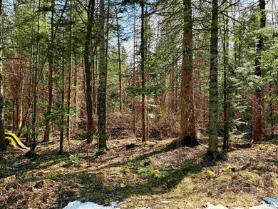 0 Bungy unit 4991867, Columbia, NH 03576 - photo 7