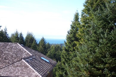 Distant Ocean View
