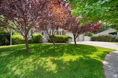 View of property hidden behind natural elements with concrete driveway, a front lawn, and an attached garage