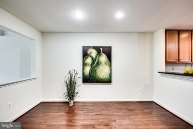 3419 Snow Cloud Ln, Silver Spring, MD 20904 - photo 5