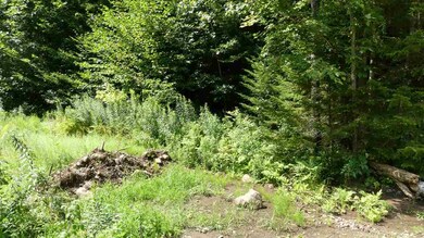 00 Vt Route 9 W, Searsburg, VT 05363 - photo 3