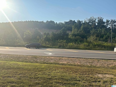 6690 A Gadsden Hwy, Trussville, AL 35173 - photo 2