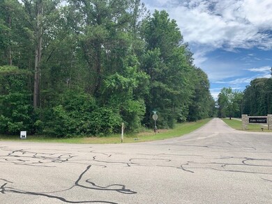 0 Waterwood unit 37827872, Huntsville, TX 77320 - photo 4