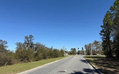 0 W Us Hwy 90 unit 22608970, Lake City, FL 32055 - photo 5