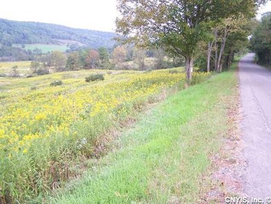 View. View from the road to the Right.