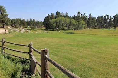 12265 Weaver Dr, Custer, SD 57730 - photo 4