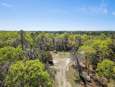 TBD Parente Place, Keaton Beach, FL 32348 - photo 3