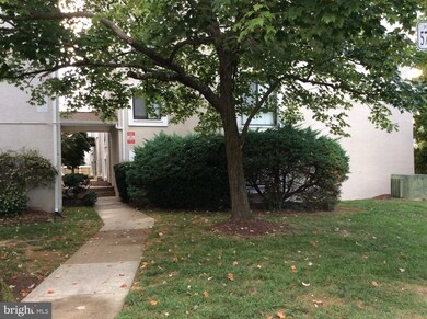 5756 Village Green Dr unit A, Alexandria, VA 22309 - photo 3