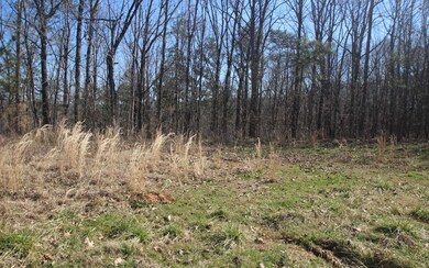 0 Log Round Mountain Rd unit 304623, Ellijay, GA 30540 - photo 3