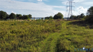 View of local wilderness