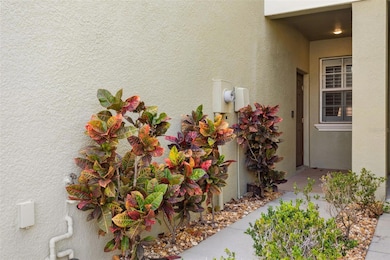 9568 Trumpet Vine Loop, Trinity, FL 34655 - photo 3