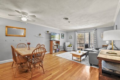 232 Canton St unit 201, Randolph, MA 02368 - photo 5