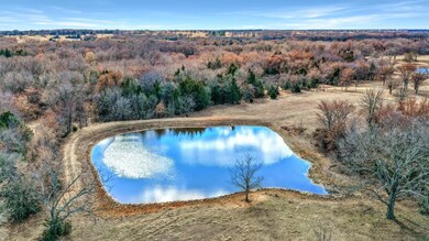 000 Copperas Rd, Sadler, TX 76264 - photo 6