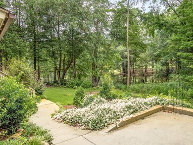Backyard to the pond