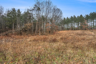 8190 Scots Pine Cir unit 12, Kalamazoo, MI 49009 - photo 4