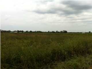 0 Prudhomme Rd, Eunice, LA 70535 - photo 5