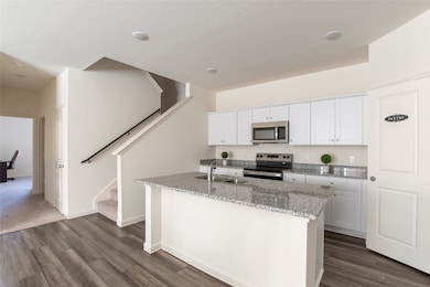 14141 Emeric St, Pilot Point, TX 76258 - photo 6