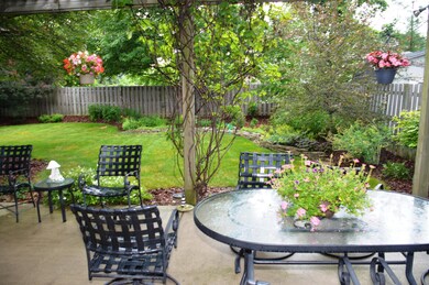 Backyard (2)