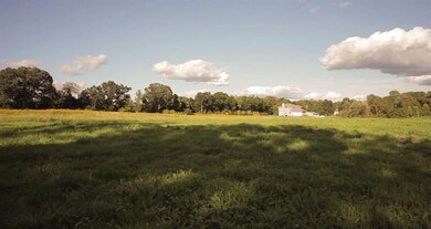 2051 Walnut Way (#10), Chelsea, MI 48118 - photo 4