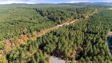 14 Gopher Wood Trail, Broken Bow, OK 74728 - photo 4