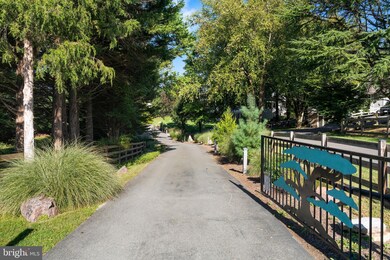 13814 Alderton Rd, Silver Spring, MD 20906 - photo 4