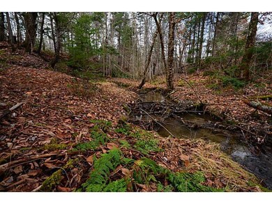 Other. Creek in Bradford Maine