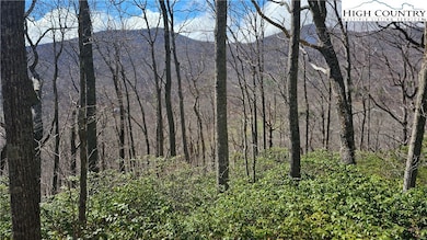 View from property line at ridge