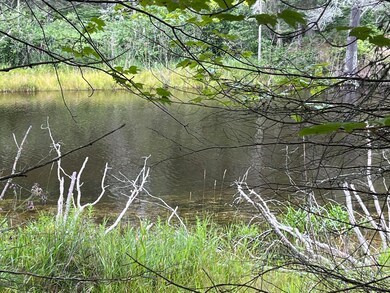 3 lots W River Rd, Garfield Township, MI 49762 - photo 7