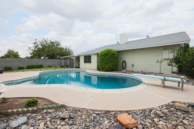 Cool Off in This Large Pool