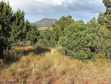 IMG_2748