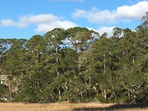Marsh Side