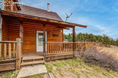 39858 Highway 24, Lake George, CO 80827 - photo 3