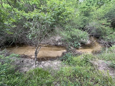 TBD NW County Road 274, Altha, FL 32421 - photo 3