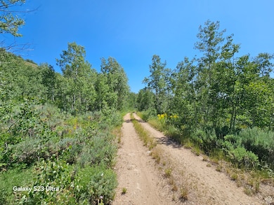 View of street with a wooded view