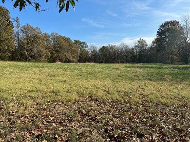 711 E Mag Motor Ln, Springfield, MO 65803 - photo 2