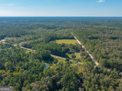 43 Dutch Rd, Hortense, GA 31543 - photo 2