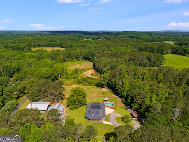 894 Lake Circle Rd, Buchanan, GA 30113 - photo 5