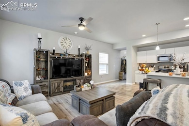 6242 Barr Point, Colorado Springs, CO 80924 - photo 5