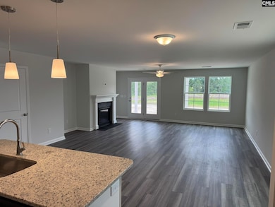 3020 Hallsdale Dr, Elgin, SC 29045 - photo 6