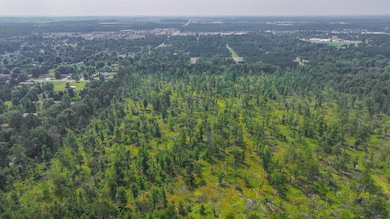 44.59 Acres Brilowski Rd, Stevens Point, WI 54482 - photo 5