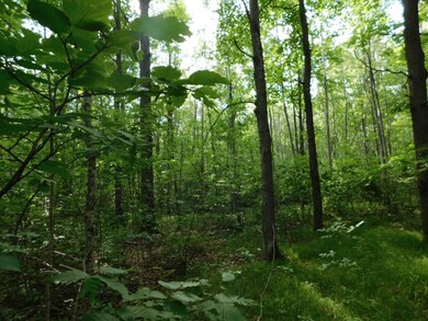 W10285 Hwy 86, Tomahawk, WI 54487 - photo 6