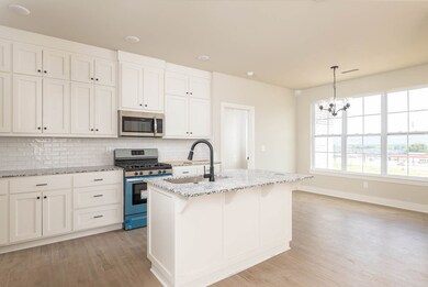 161 S Eagle Mountain St, Prairie Grove, AR 72753 - photo 4