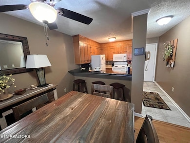 1102 Ski View Dr unit 206, Gatlinburg, TN 37738 - photo 5