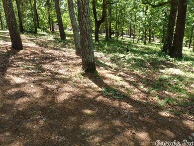 0 Cr 756, Jonesboro, AR 72401 - photo 3