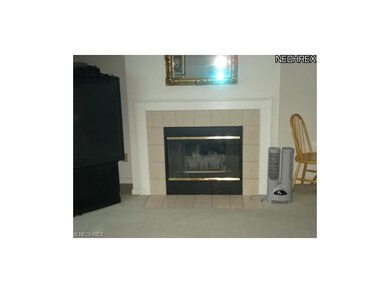 Gas Fireplace