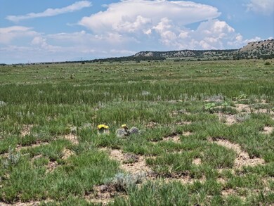 DJI_20250609113834_0043_D