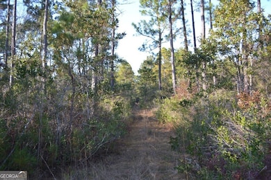 0 Sandpiper Ln unit TRACT 2, Swainsboro, GA 30401 - photo 5