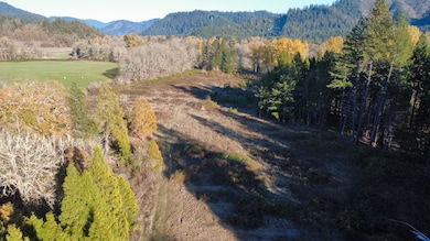 188 Pisqually Ln, Azalea, OR 97410 - photo 4