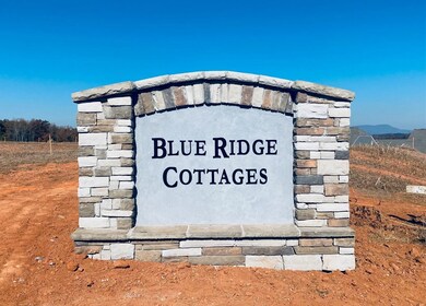 420 Batten Rd, Greer, SC 29687 - photo 3