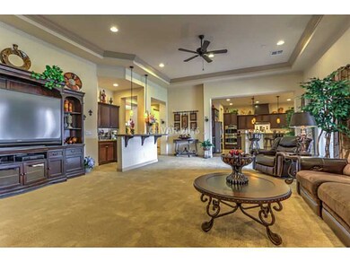 Family Room. HUGE Family Room W/ Recessed Lighting